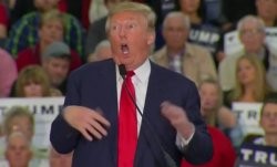Donald Trump Mocking Disabled Meme Template