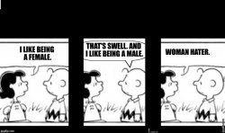 Charlie Brown and Lucy Tumblr Meme Template