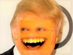Orange Trump Meme Template