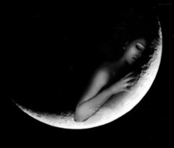 TANSTAAFL Meme Template