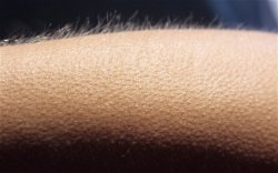 When she says Meme Template