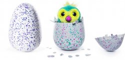 Hatchimals Lesson Learned Meme Template