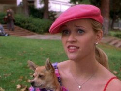 Legally blonde Meme Template