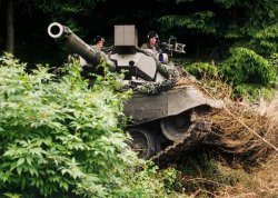 Leopard tank peek behind bushes Meme Template