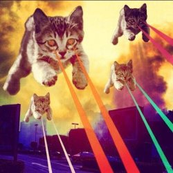 Laser Cats Meme Template