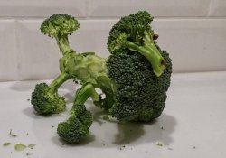 Broccoli Poodle Yum Eat Yer Veggies Meme Template