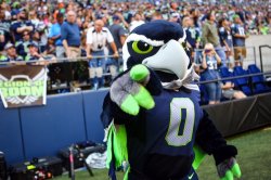 Blitz the Seahawk Meme Template