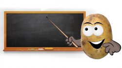 Potato Teacher Meme Template