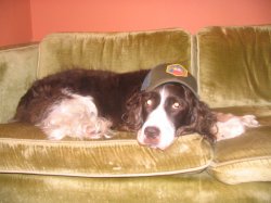 Abigail Meme Template