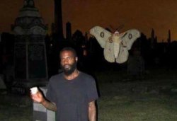 Mothra in the graveyard Meme Template