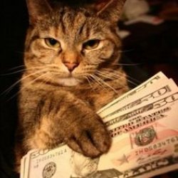 Gangster Cat Meme Template