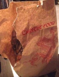 Chinese Food Not So Well Done Meme Template