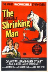 Pulp Art Incredible Shrinking Man Meme Template