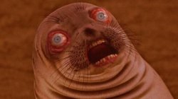 Surprised Seal Meme Template