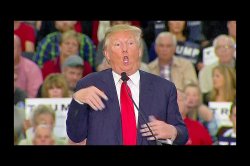 Trump mocking the disabled Meme Template