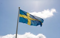 Sweden Flag Swedish Svensk Flagga Meme Template
