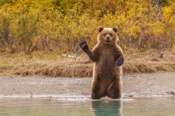 Devos 2 Meme Template