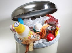 Rubbish bin Meme Template