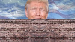 Trump Wall Meme Template