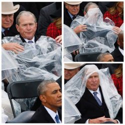 Bush rain coat Meme Template