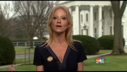 Kelly Ann Conway Meme Template