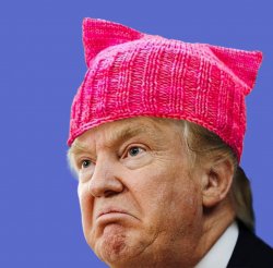 Pussy Hat Trump Meme Template