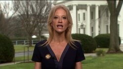 Kellyanne Conartist Meme Template