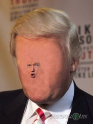Little Face Trump Meme Template