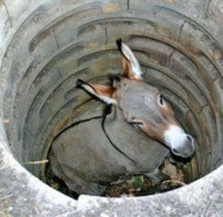 Donkey in a hole Meme Template