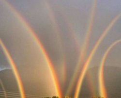 Nature Rainbows Meme Template