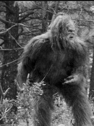 Big foot Meme Template