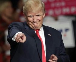 Trump pussy Meme Template