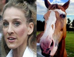 neigh Sarah Jessica Parker Meme Template