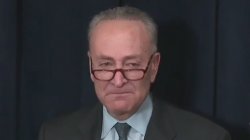 Schumer Pussy Meme Template