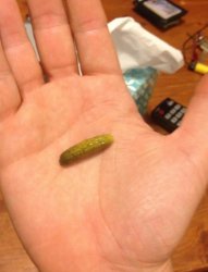 Lil pickle Meme Template