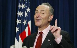 upchuck schumer Meme Template