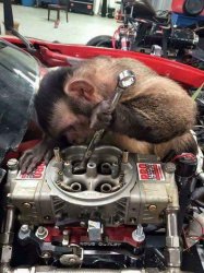 Monkey mechanic Meme Template