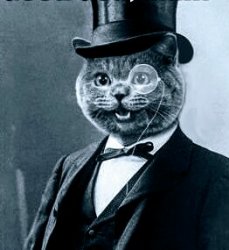 Cat top hat monacle Meme Template