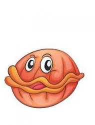 clam Meme Template
