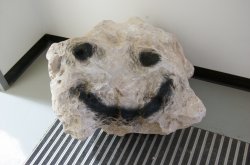 Pet Rock Meme Template