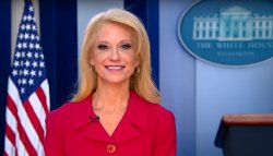 Kelly Ann Conway Meme Template