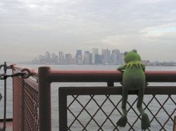 Kermit The Frog At The Port Meme Template