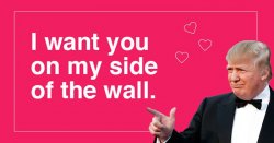 trump valentine Meme Template