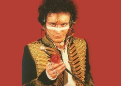 Adam Ant Rose Meme Template