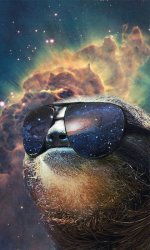 Space sloth  Meme Template