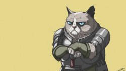 grumpy cat Meme Template