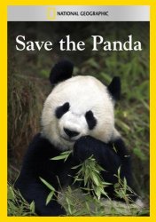 panda Meme Template