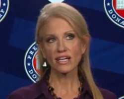 Kelly Anne Conway Meme Template