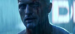 Blade Runner Tears in rain Meme Template