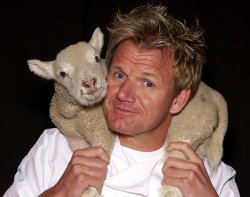 Gordon Ramsay Lamb Meme Template